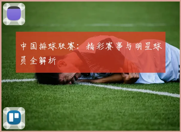 中国排球联赛:精彩赛事与明星球员全解析
