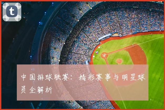 中国排球联赛：精彩赛事与明星球员全解析